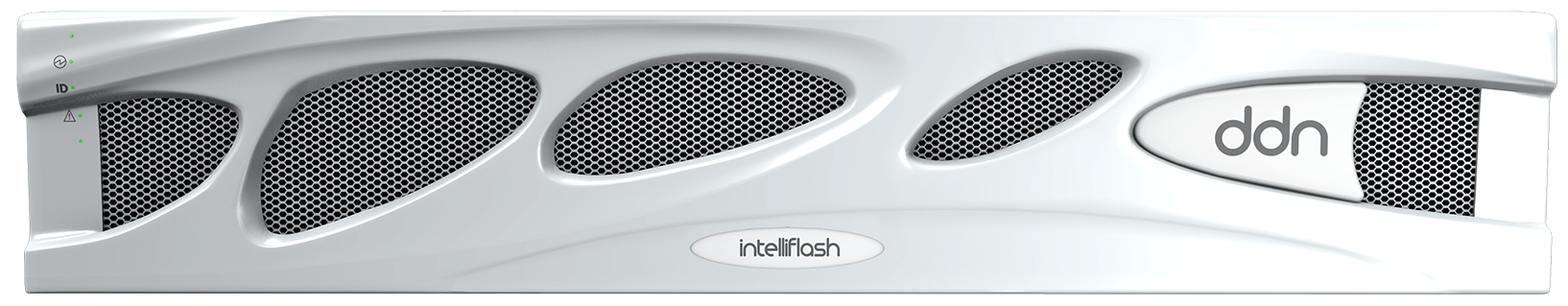DDN IntelliFlash N6200