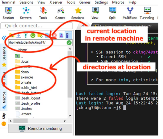 Basic MobaXterm view
